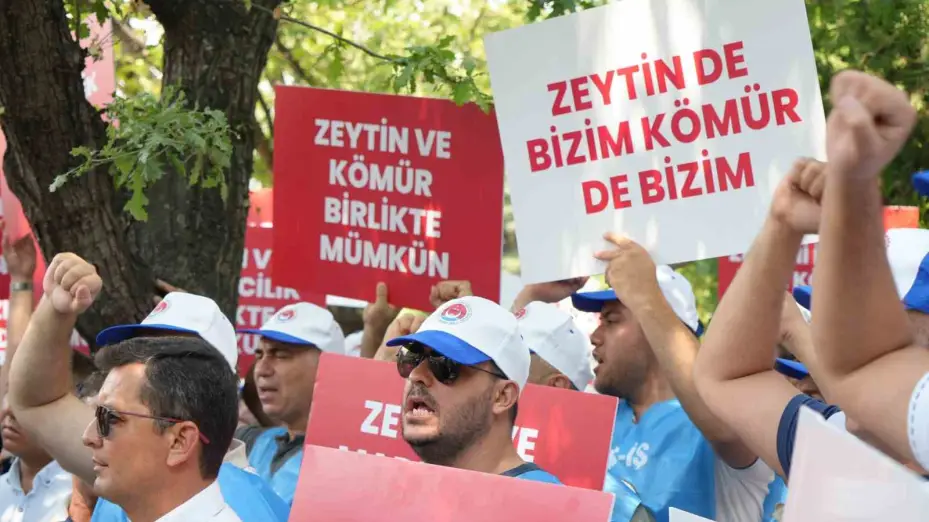 Milaslı muhtarlar ve TES-İŞ’ten Maden Yasası’na destek: "Köylerimiz ve zeytinlerimiz yok olmayacak"