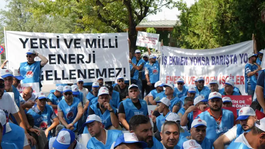 Milaslı muhtarlar ve TES-İŞ’ten Maden Yasası’na destek: "Köylerimiz ve zeytinlerimiz yok olmayacak"
