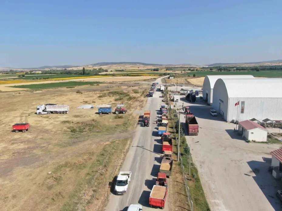 TMO alım noktası bu yıl da İnönü’de hizmette