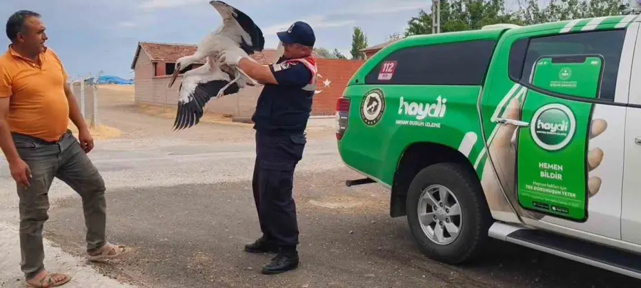 Sorgun’da bulunan yaralı leylek tedavi altına alındı