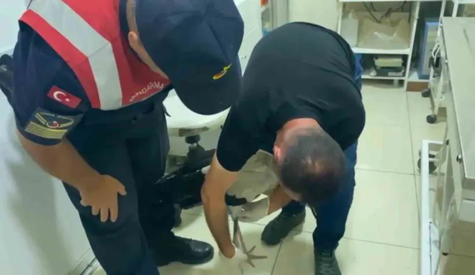 Sorgun’da bulunan yaralı leylek tedavi altına alındı