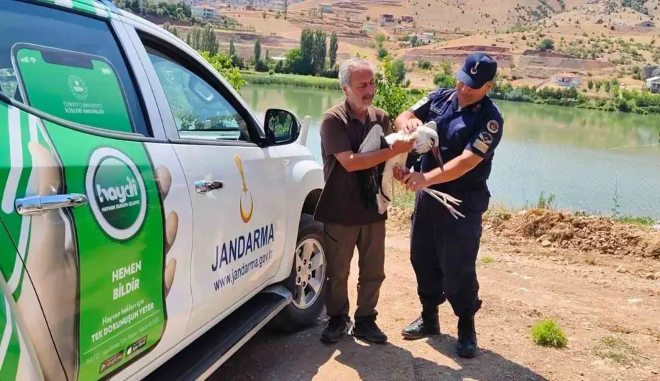 Sorgun’da bulunan yaralı leylek tedavi altına alındı