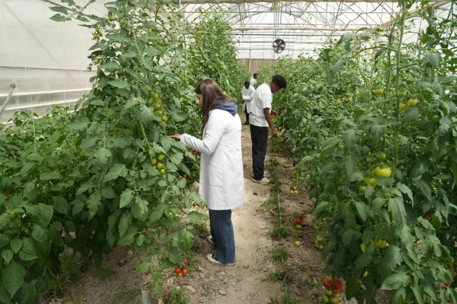 Niğde’de geleceğin ziraat mühendisleri sınıfta eğitim, sahada deneyim kazanıyor