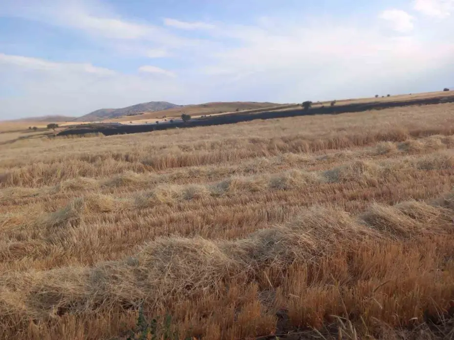 Kayseri Tomarza’da 2 günde 4 ekili arazide yangın çıktı