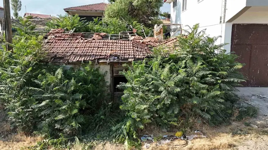 Bir şehir bunu konuşuyor: Keloğlan’ın Çankırılı olduğu iddiası gündem oldu