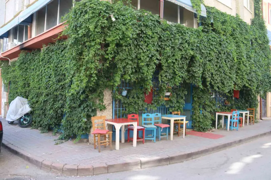 Gidenler bulmakta zorlanıyor, sarmaşık kaplı kafe dikkat çekiyor
