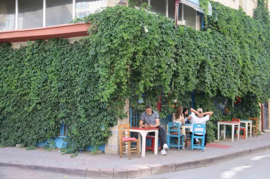 Gidenler bulmakta zorlanıyor, sarmaşık kaplı kafe dikkat çekiyor