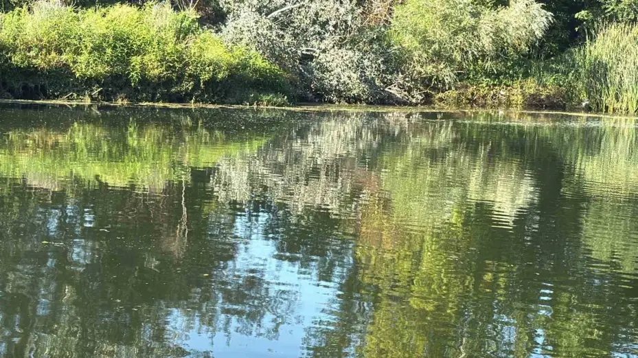 Sakarya Nehri’ne giren iki çocuk suda kayboldu