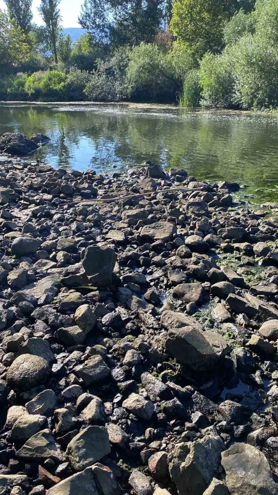 Sakarya Nehri’ne giren iki çocuk suda kayboldu