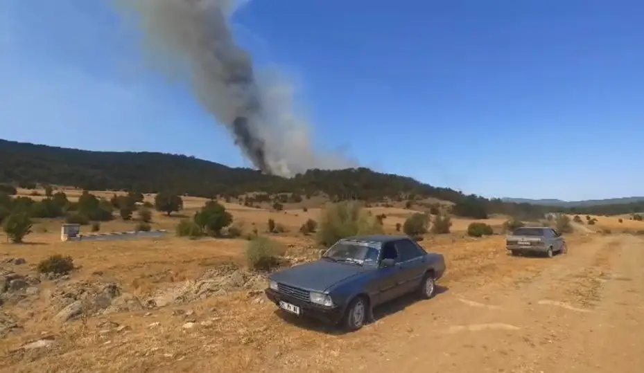 Seyitgazi’de yangına havadan müdahale