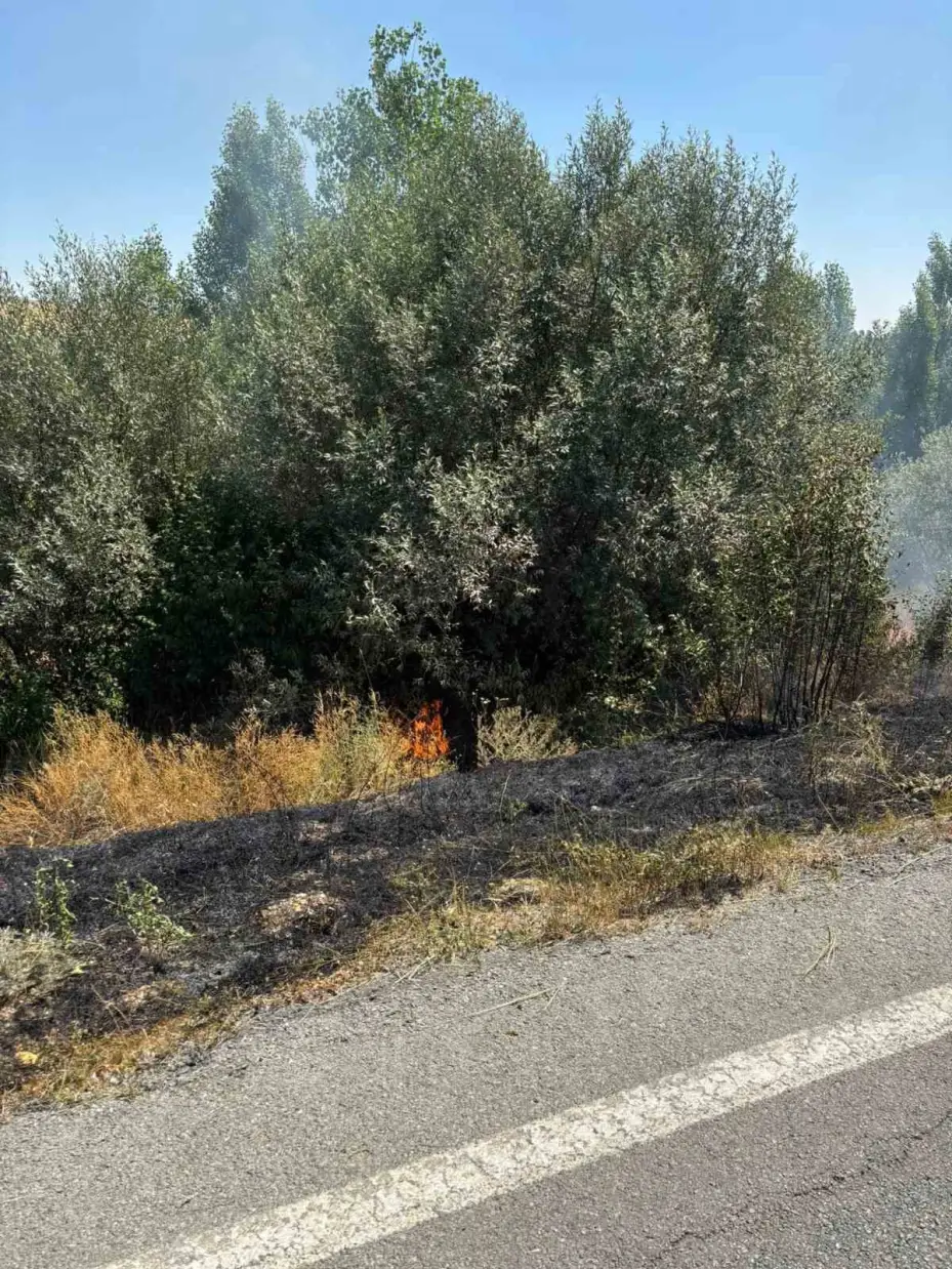 Anız yangınında 10 dönüm arazi yandı