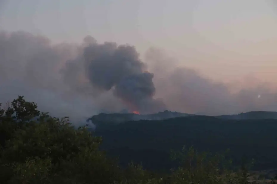 Eskişehir’de orman yangınına havadan müdahaleye ara verildi
