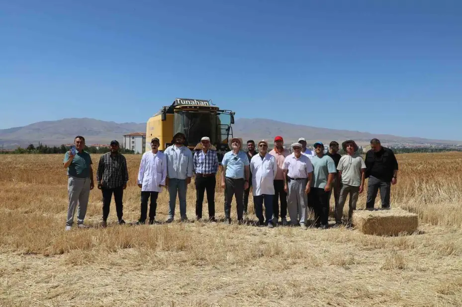 NÖHÜ’de 300 dekar arazide arpa ve buğday hasadı başladı