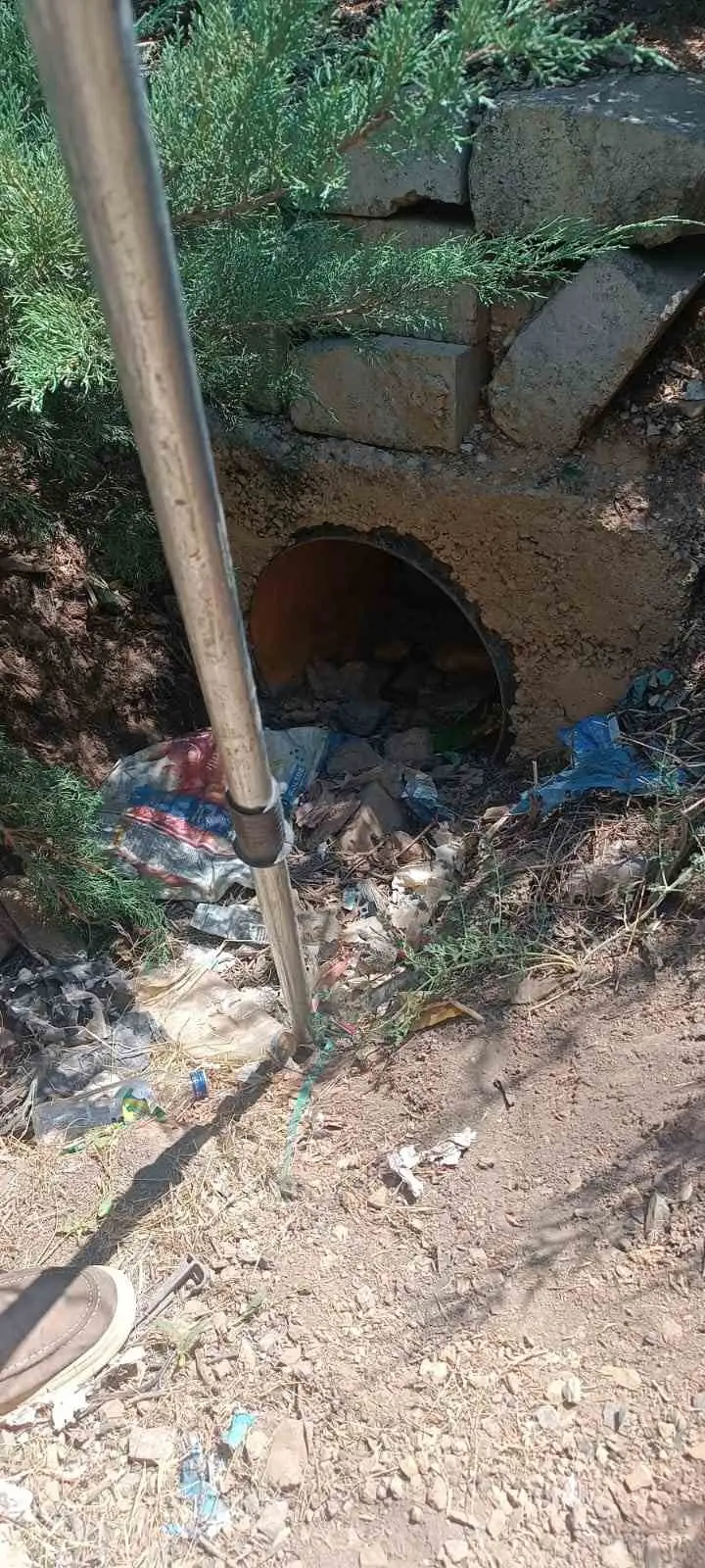 Menfeze sıkışan 2 köpek kurtarıldı