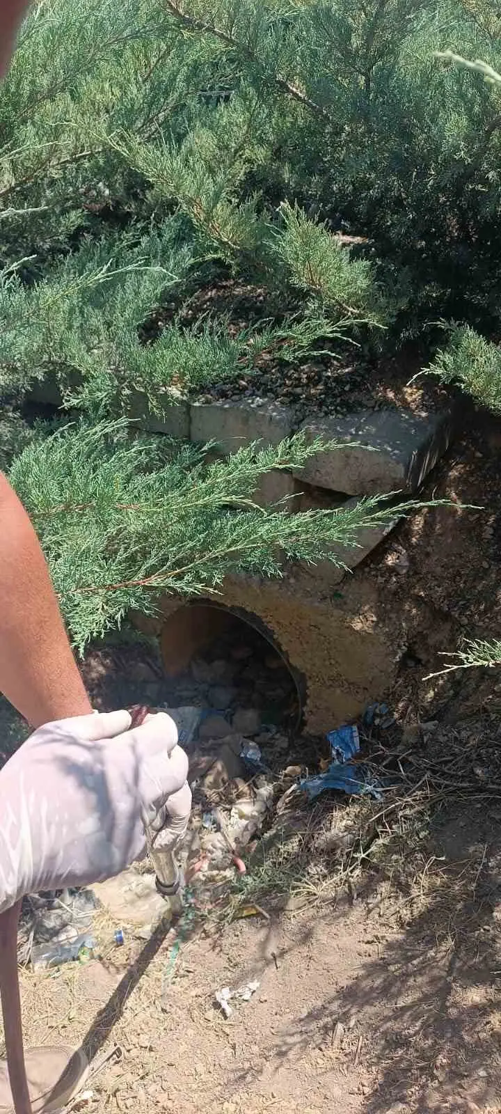 Menfeze sıkışan 2 köpek kurtarıldı