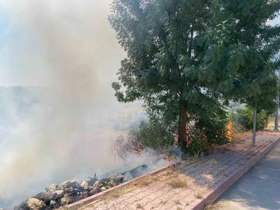 Beyşehir’de alevler bahçelere ulaşmadan söndürüldü