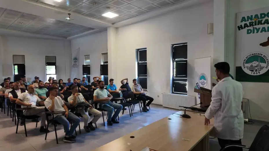 İlçe belediyelerine sokak hayvanlarını toplama eğitimi ve mama desteği