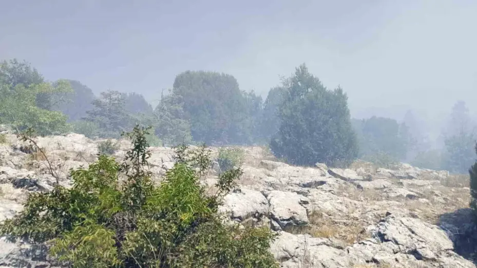 Çöplükte başlayan yangın ormana sıçradı