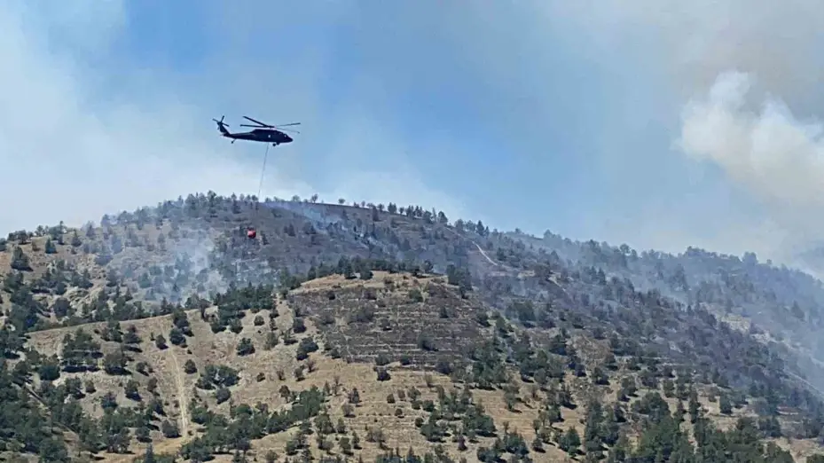 Ankara’da ormanlık alanda yangın çıktı