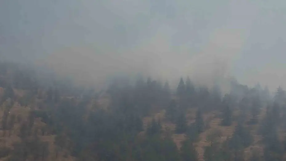 Ankara’daki orman yangını dron ile görüntülendi