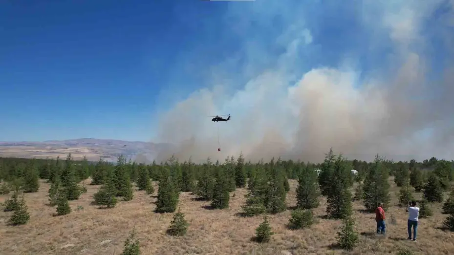 ODTÜ Ormanı’ndaki yangının tahribatı havadan görüntülendi