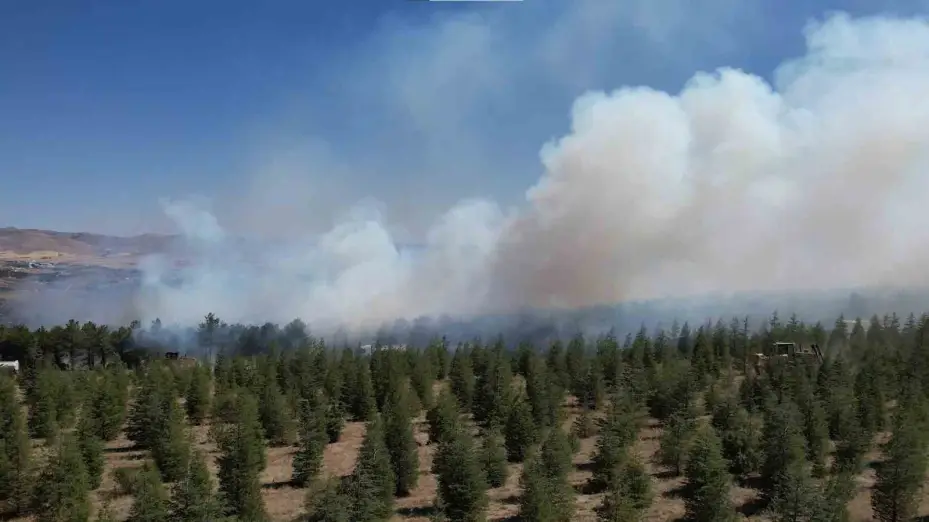 ODTÜ Ormanı’ndaki yangının tahribatı havadan görüntülendi