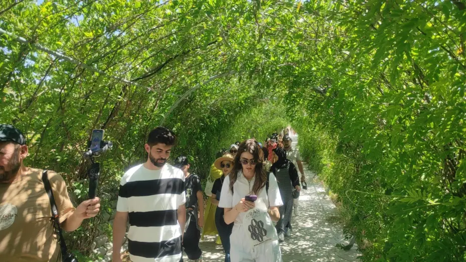 Lavanta tarlalarının mor manzarası eşliğindeki geziye yoğun ilgi