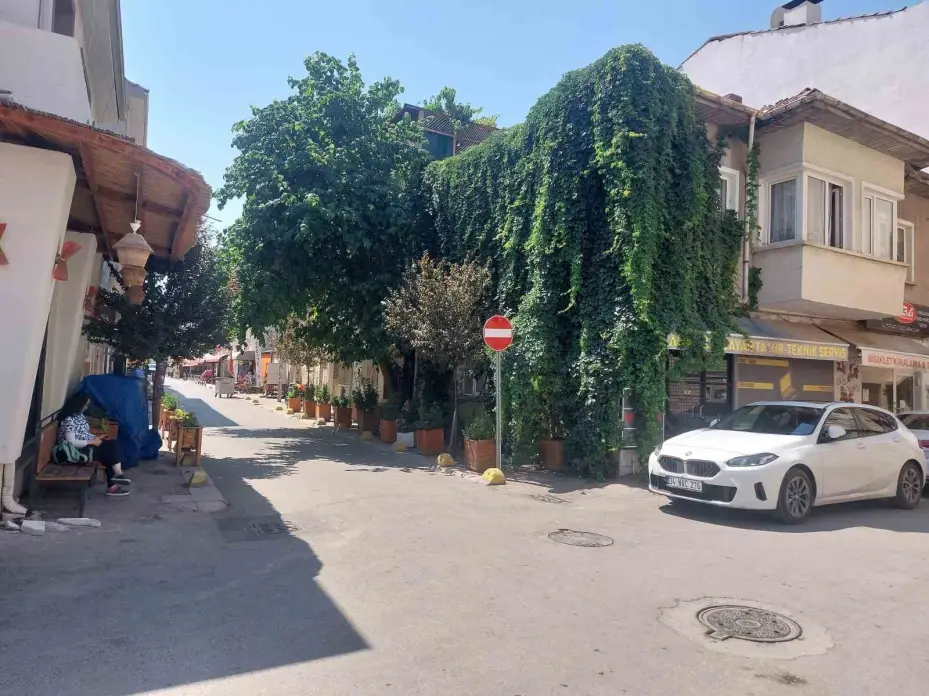 Eskişehir’de doğa, evle bütünleşti