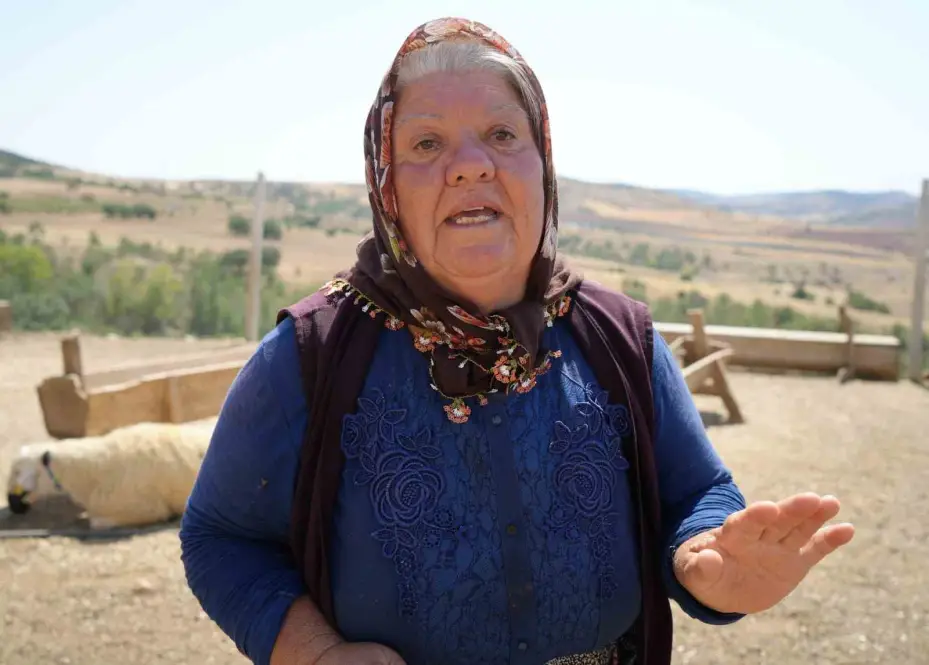 Kırıkkale’de iki ayrı besicinin 210 hayvanı telef oldu: 63 yaşındaki kadın gözyaşlarını tutamadı
