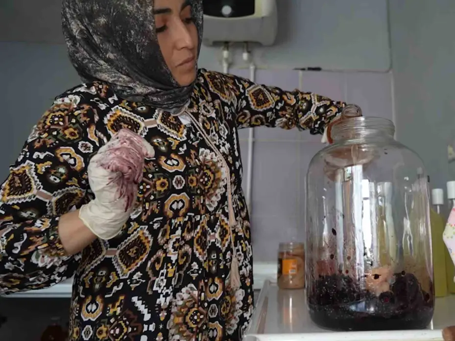 30 farklı çeşit, her biri şifa kaynağı: Doğal yöntemlerle üretiliyor