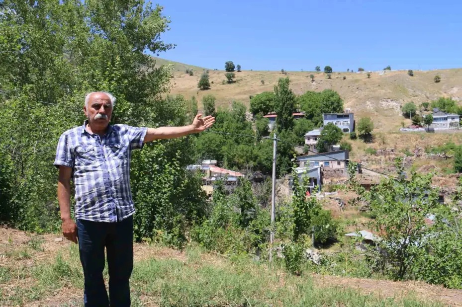 Bozkırın ortasında vahayı andırıyor, yeşilliği ile dikkat çekiyor