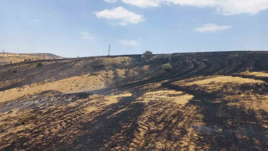 ÇEDAŞ’ın arızalanan trafosu 400 dönüm araziyi küle çevirdi