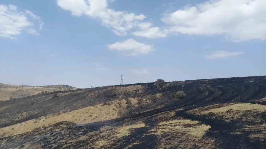 ÇEDAŞ’ın arızalanan trafosu 400 dönüm araziyi küle çevirdi