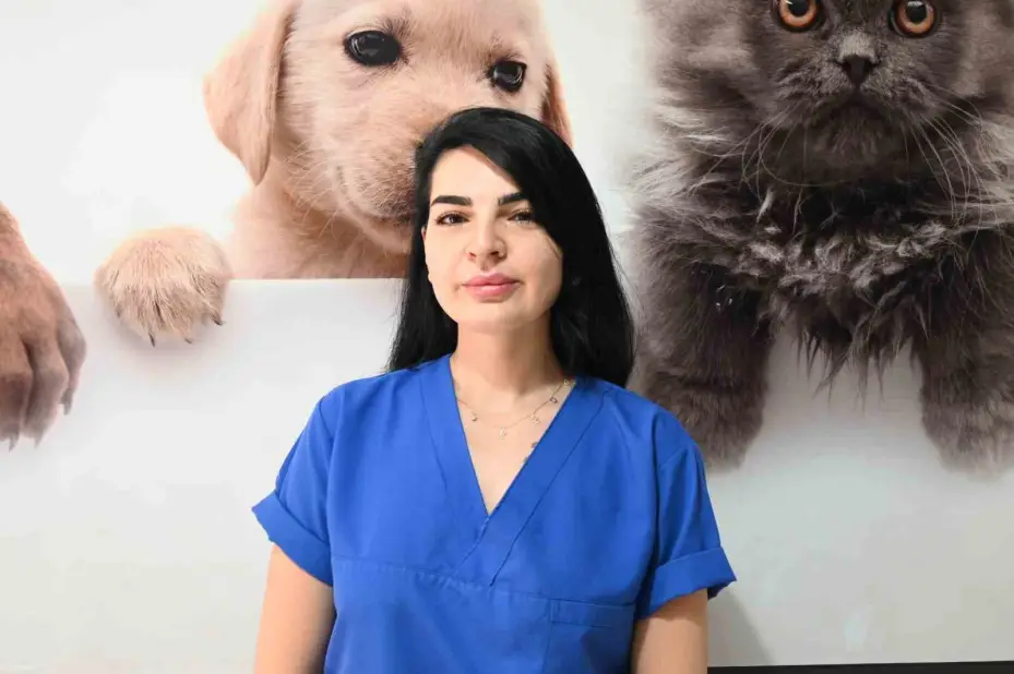 Yangında zarar gören hayvanlara ilk yardım nasıl yapılmalı