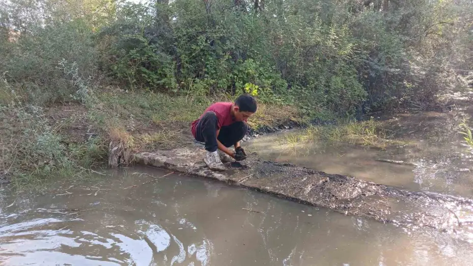 Hayvanları su içebilsin diye elleriyle mini gölet yaptılar