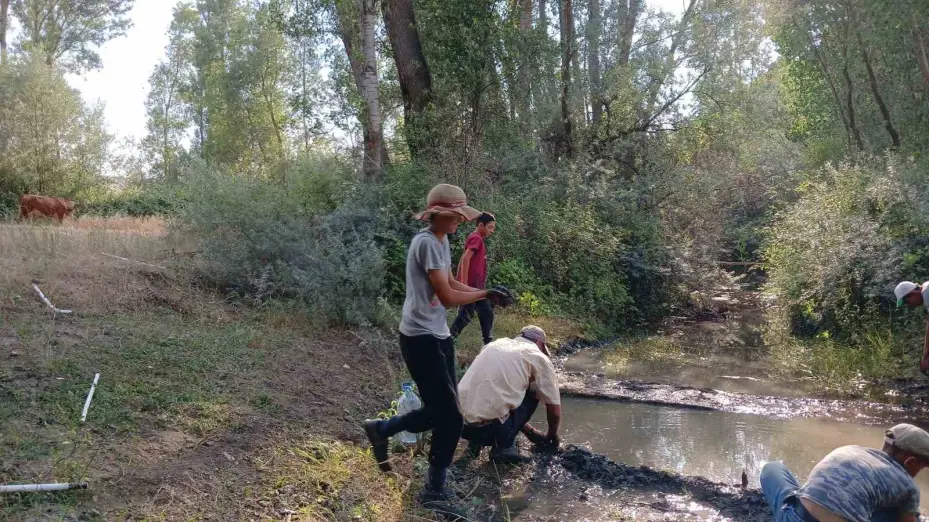 Hayvanları su içebilsin diye elleriyle mini gölet yaptılar