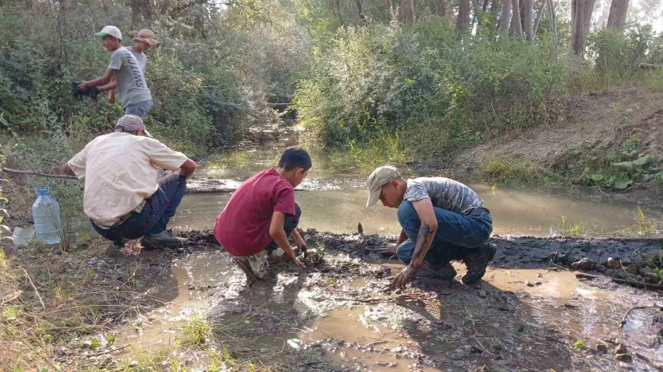 Hayvanları su içebilsin diye elleriyle mini gölet yaptılar