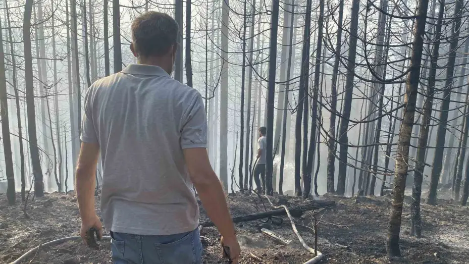 Çankırı’daki orman yangınına havadan ve karadan müdahale ediliyor