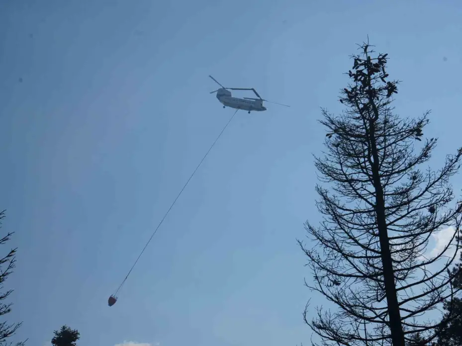Çankırı Valiliği: "Orman yangınına 216 personel ve 7 helikopterle müdahale ediliyor"