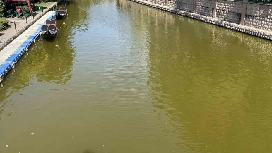 Porsuk Çayı’nın rengi yeşile döndü