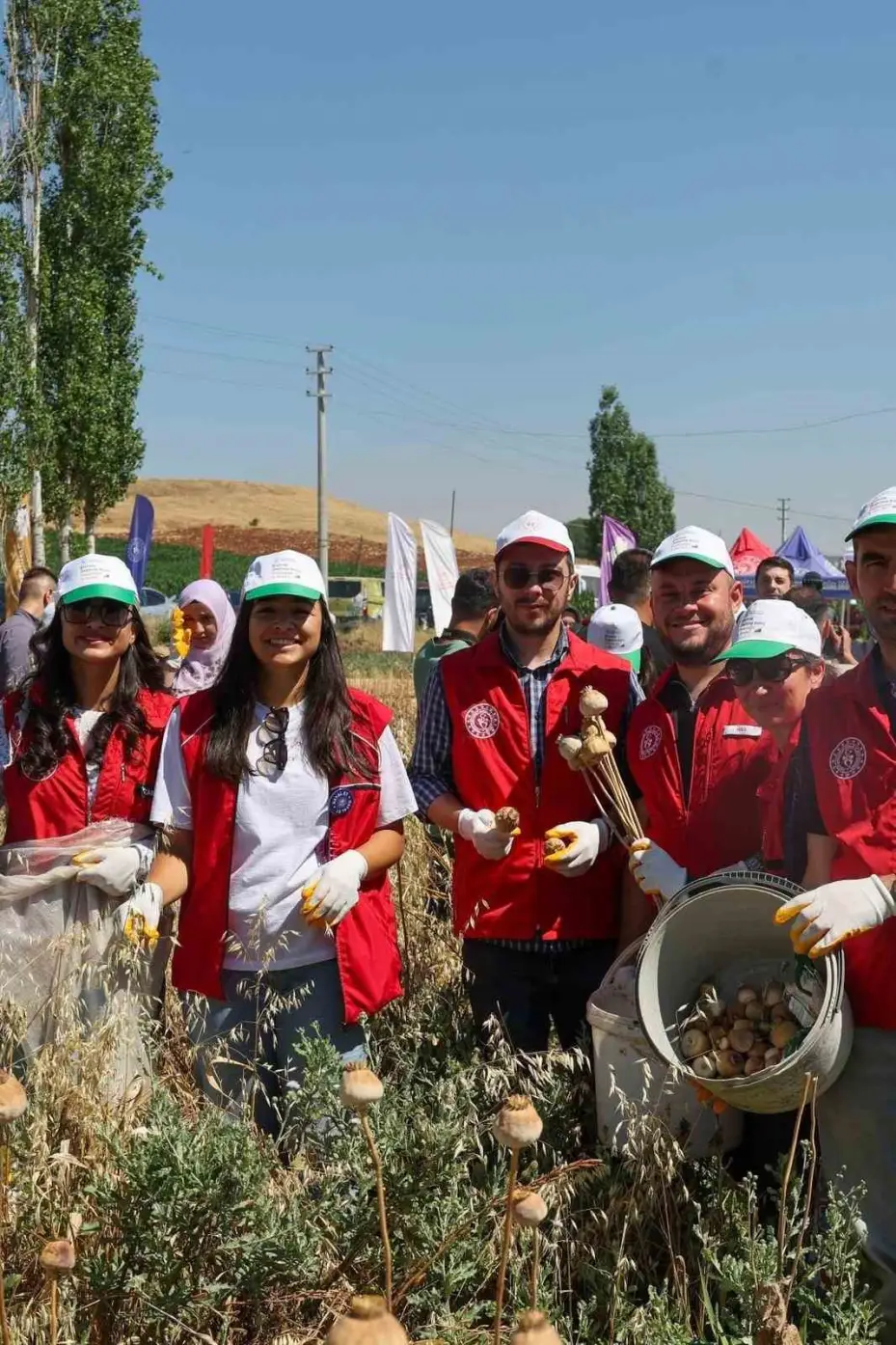 Gençler hasat etkinliği ile üretim süreçlerini yakından deneyimliyor