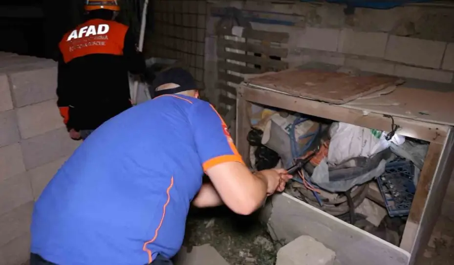 Ekipleri "yılan" alarmına geçirdi, asılsız ihbardan ceza yedi
