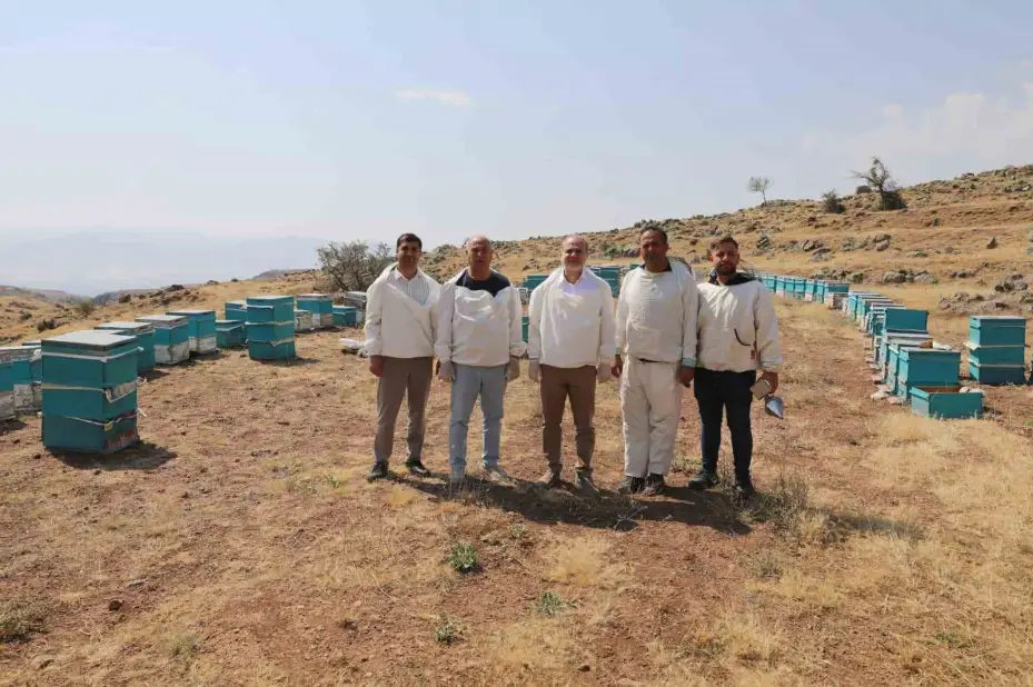 NÖHÜ’nün arı kovanlarından 2 ton bal elde edildi