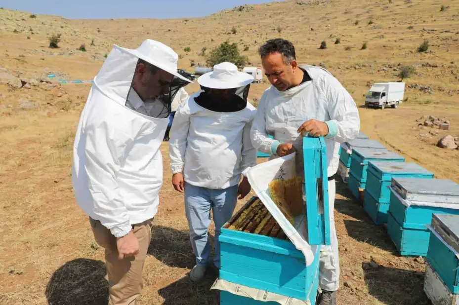 NÖHÜ’nün arı kovanlarından 2 ton bal elde edildi