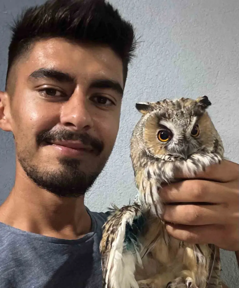 Karapınar’da tellerde yaralanan kulaklı orman baykuşu kurtarıldı
