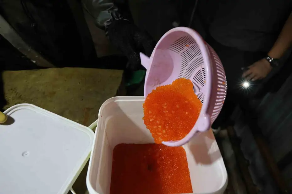 Laboratuvar değil alabalık üretim tesisi