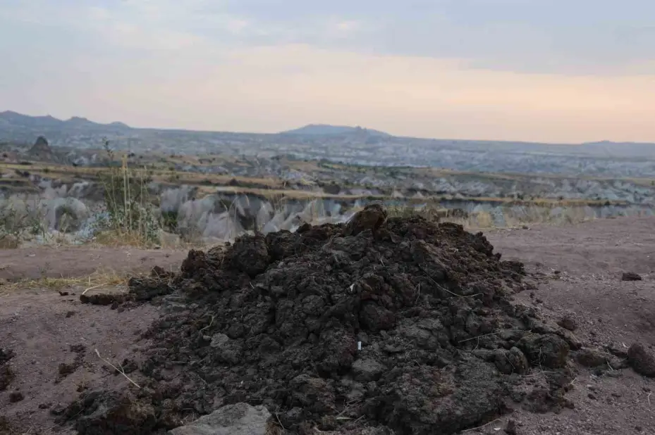 Peribacaları arasındaki gübreler büyük tepki topladı
