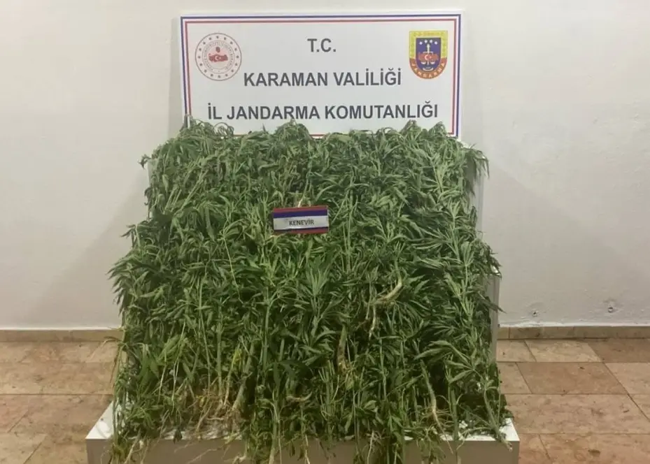 Karaman’da tarih eser ile kenevir ele geçirildi