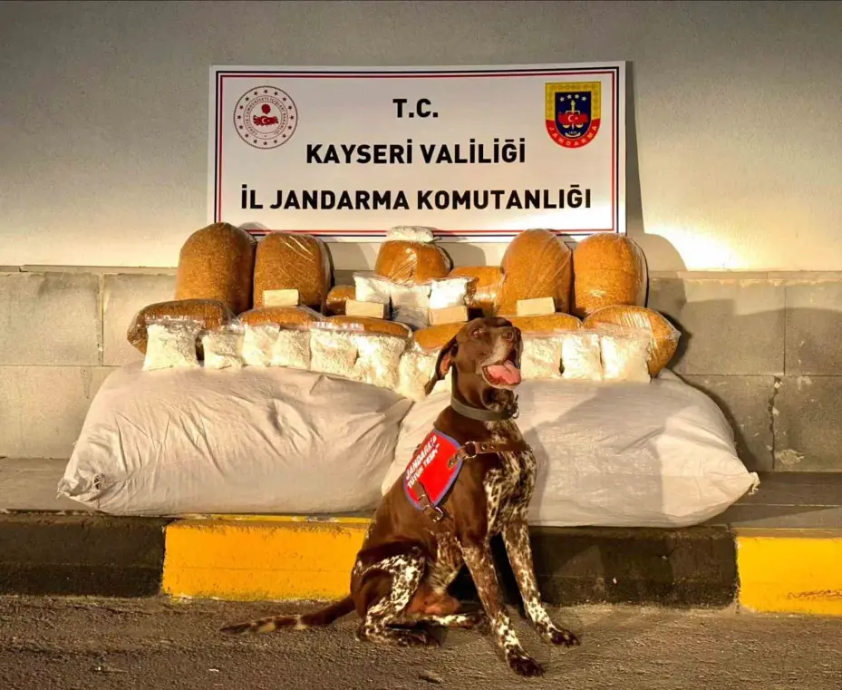 Jandarma Kayseri’de suça geçit vermiyor