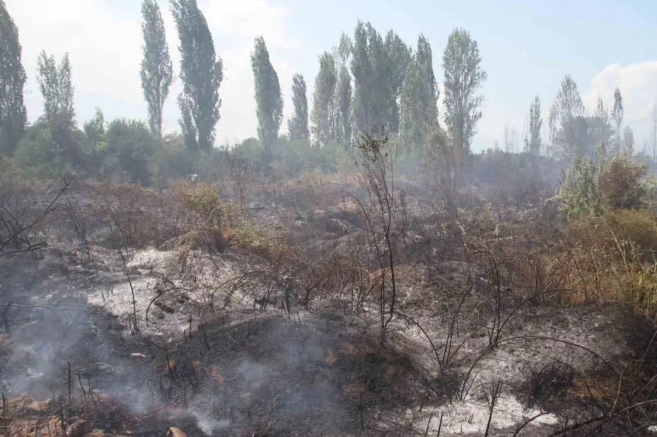 Beyşehir’de kampüs yakınlarındaki yangın korkuttu